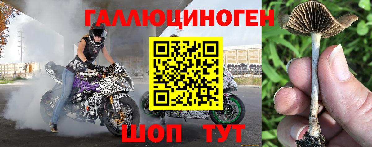 Чистополь  Псилоцибиновые грибы Psilocybine cubensis  купить наркоту  Вход с VPN 